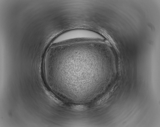 X0000112730058200909031453