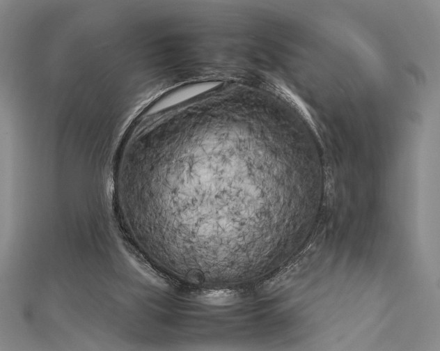 X0000112730059200909031453