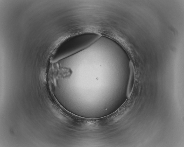 X0000112730060200909031453