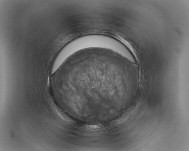 X0000112730061200909031453