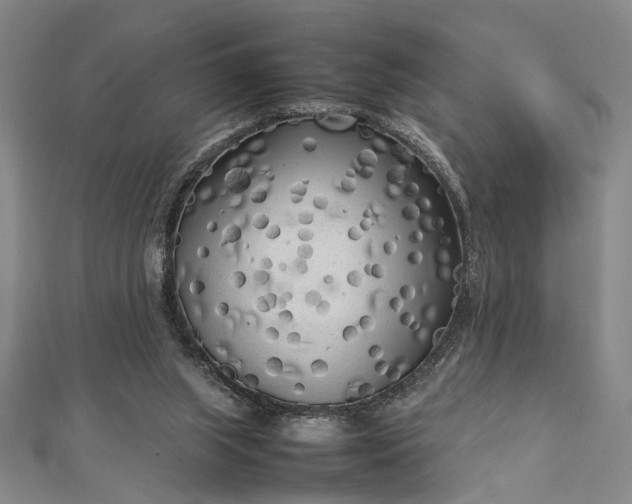 X0000112730063200909031453