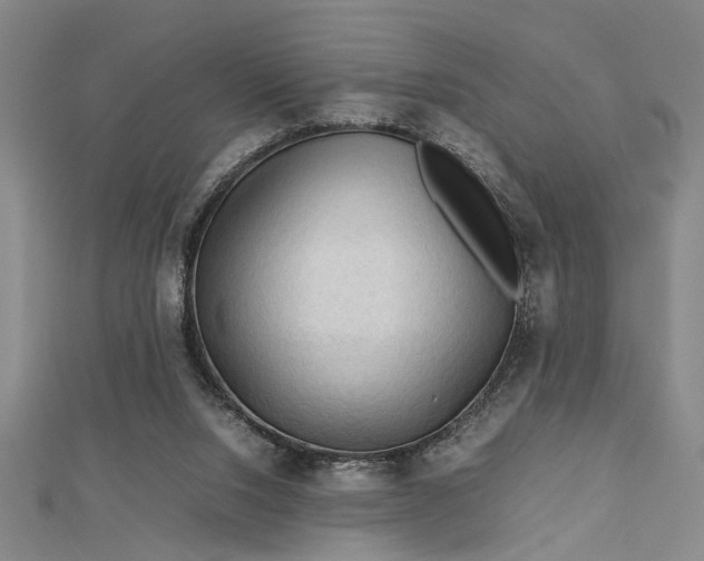 X0000112730064200909031453