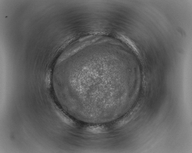 X0000112730065200909031453