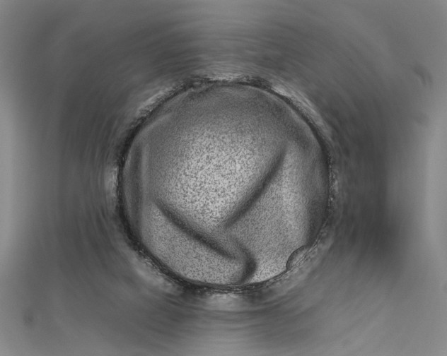 X0000112730066200909031453