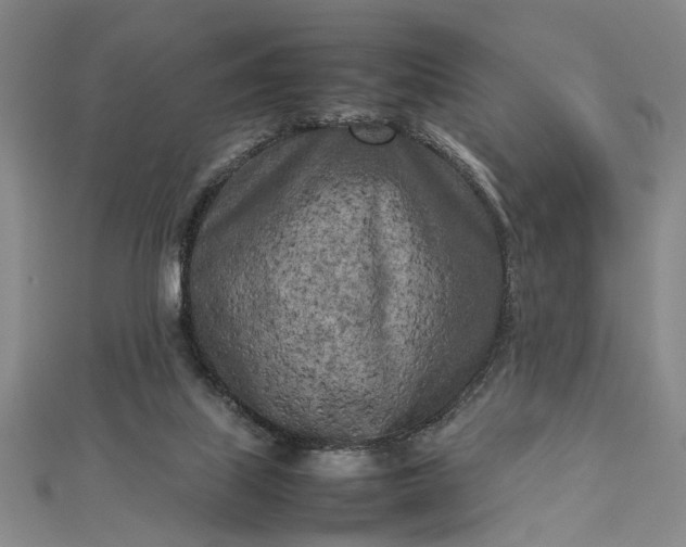 X0000112730067200909031453