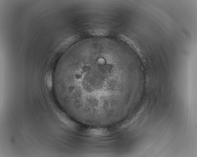 X0000112730069200909031453