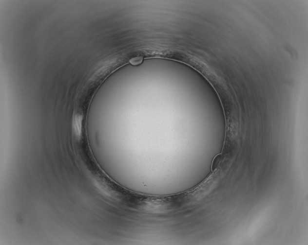 X0000112730070200909031453