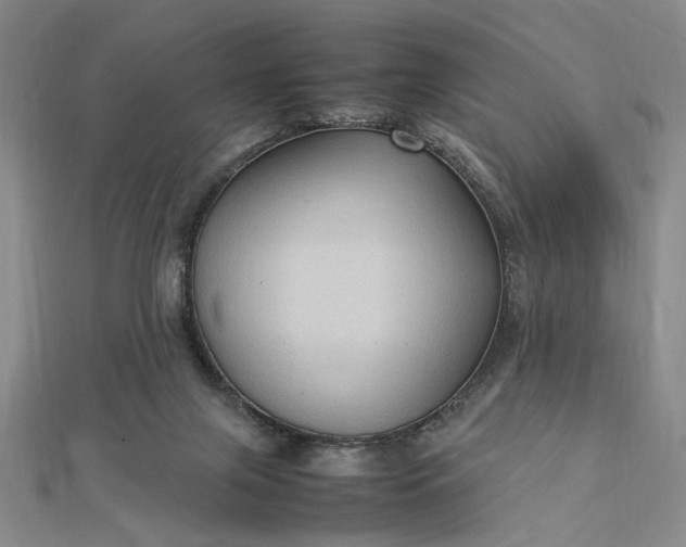 X0000112730071200909031453