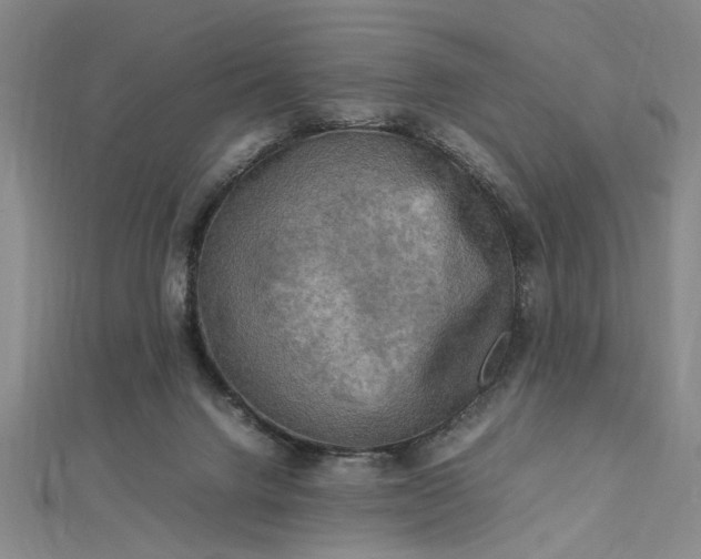 X0000112730072200909031453