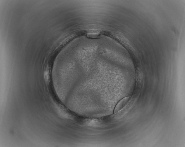 X0000112730074200909031453