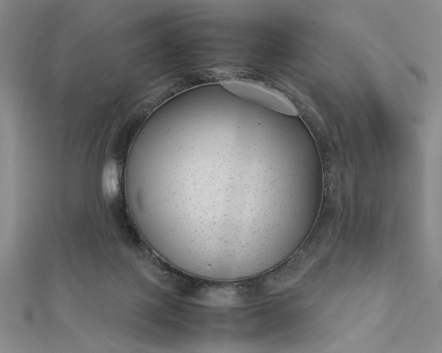 X0000112730075200909031453