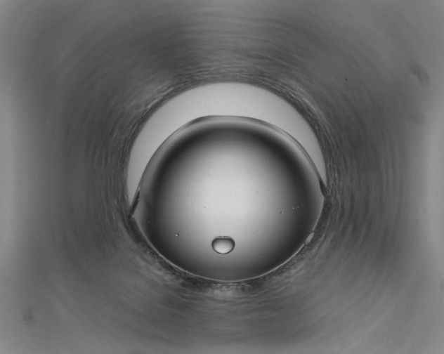 X0000112730076200909031454