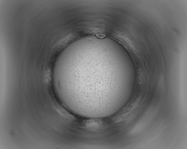 X0000112730077200909031454