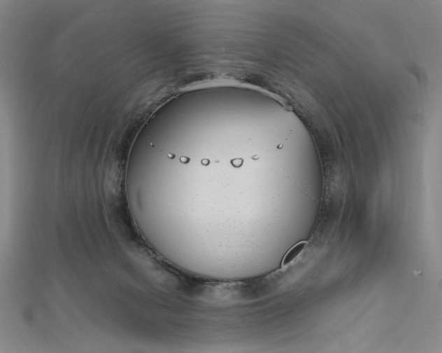 X0000112730078200909031454