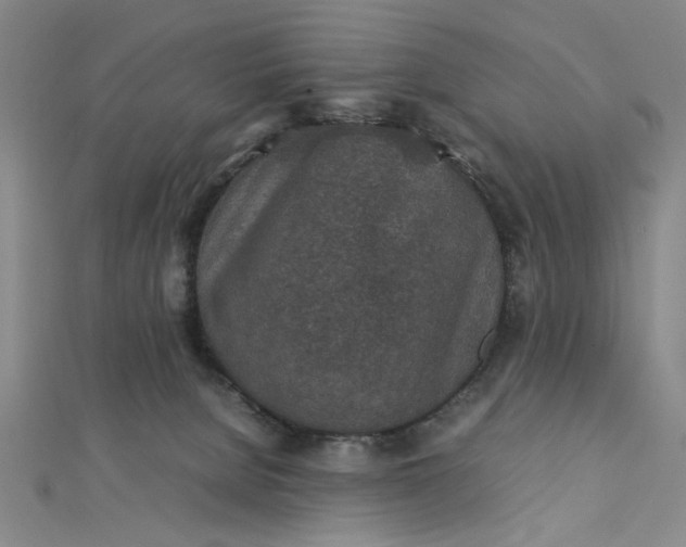 X0000112730080200909031454