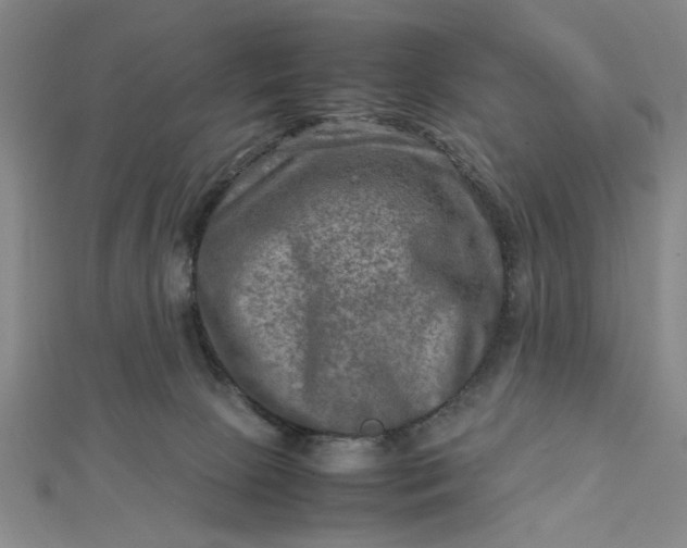 X0000112730081200909031454