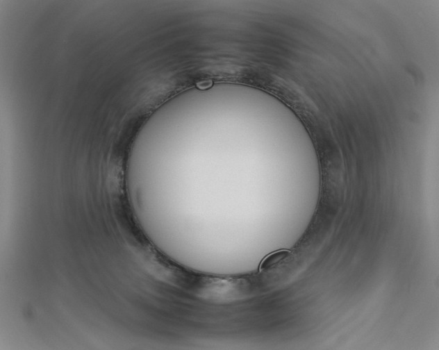 X0000112730083200909031454