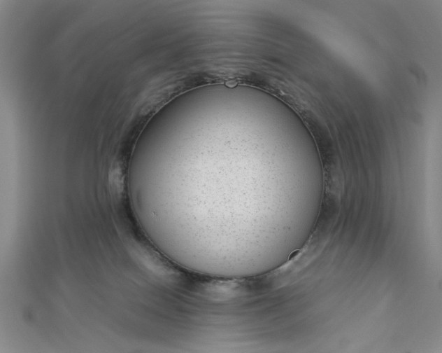 X0000112730086200909031454