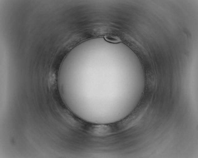 X0000112730087200909031454