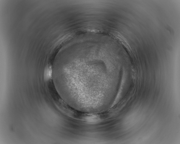 X0000112730095200909031454