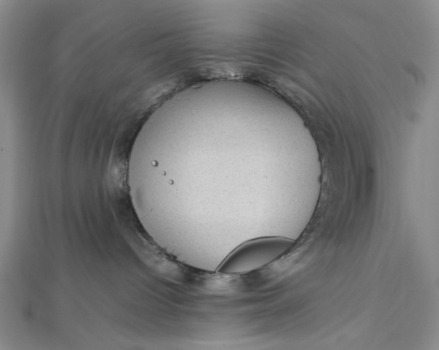 X0000112730096200909031454