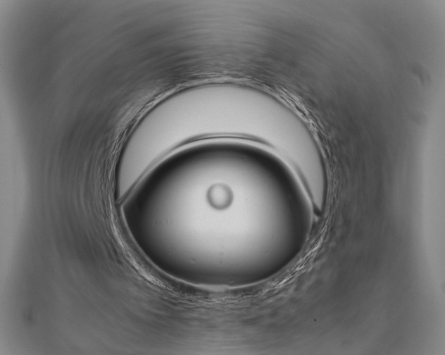 X0000112730097200909031453