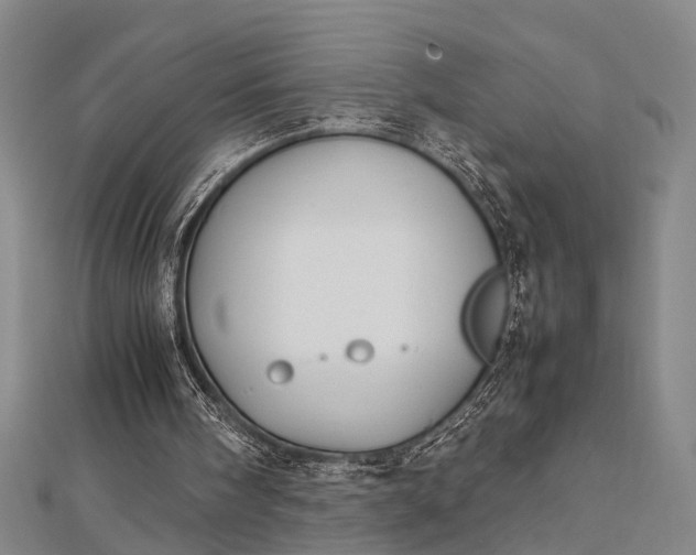 X0000112730098200909031453