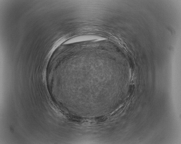 X0000112730099200909031453