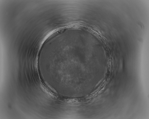 X0000112730100200909031453