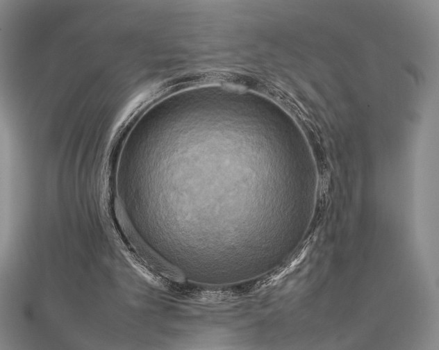 X0000112730101200909031453