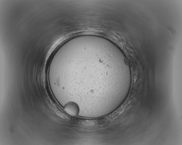 X0000112730102200909031453