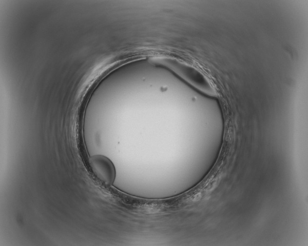 X0000112730103200909031453