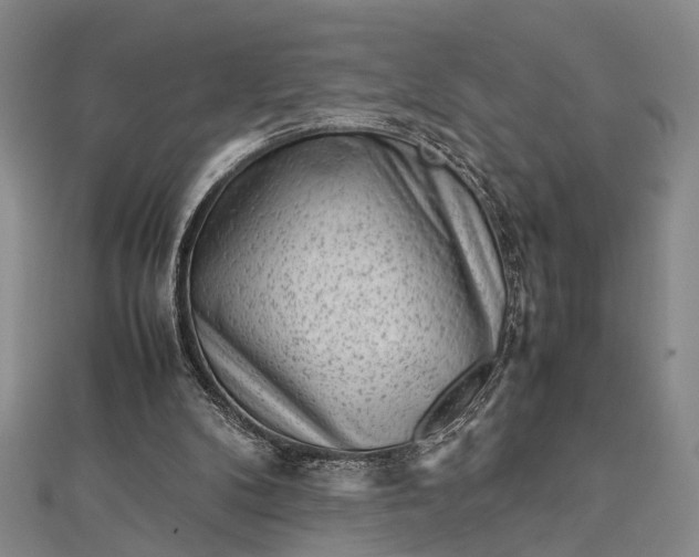 X0000112730104200909031453