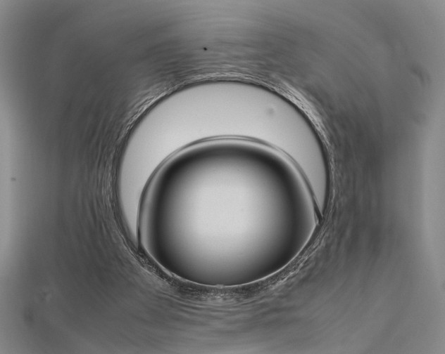 X0000112730105200909031453