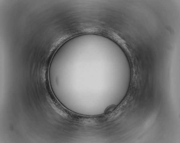 X0000112730106200909031453