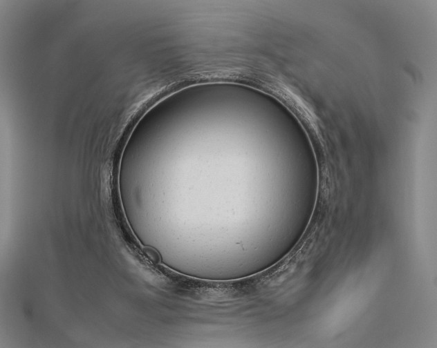 X0000112730107200909031453