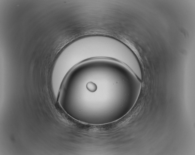 X0000112730109200909031453