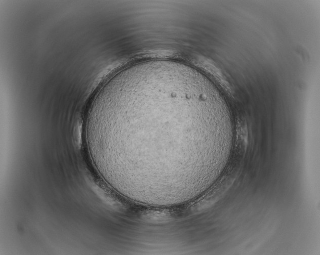 X0000112730110200909031453