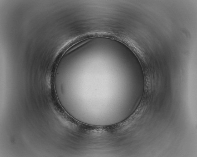 X0000112730112200909031453