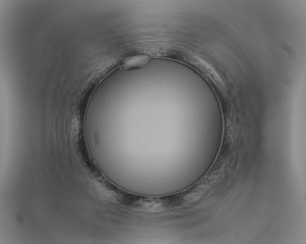 X0000112730113200909031453