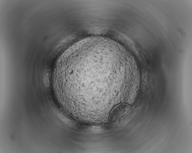 X0000112730114200909031453