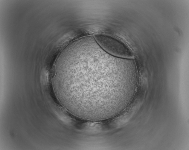 X0000112730117200909031453