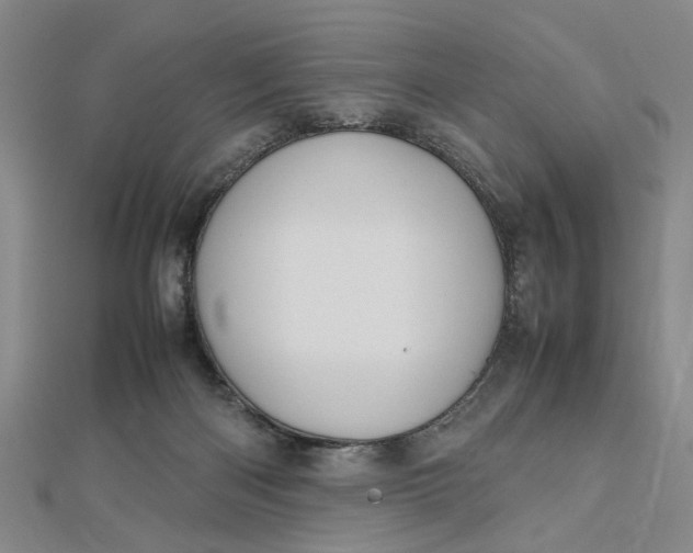 X0000112730122200909031453