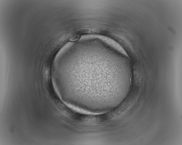 X0000112730123200909031453