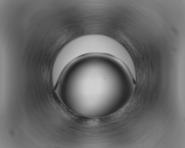 X0000112730124200909031453