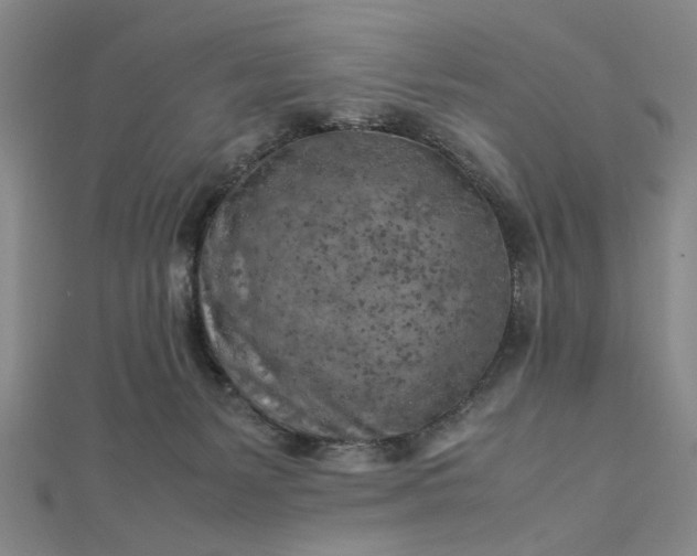 X0000112730127200909031453