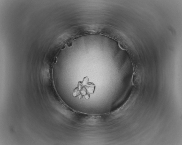 X0000112730128200909031453