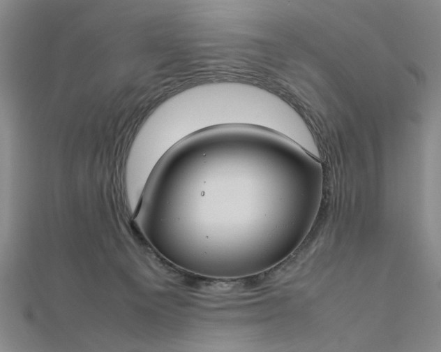 X0000112730129200909031453