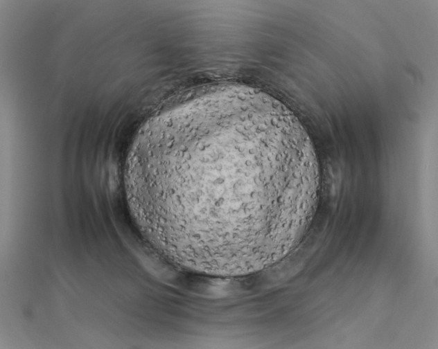 X0000112730130200909031453