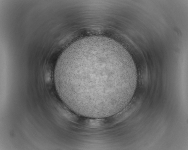 X0000112730134200909031453